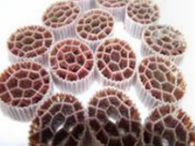 高效脱氮工艺（以ANAMMOX厌氧氨氧化为核心）